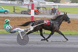HORSE_CAR_RACE_