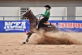 Reining