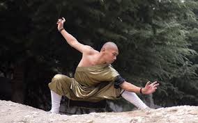 Monkey_Kung_Fu_4
