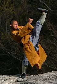 Shaolin_Kung_Fu_