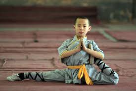 Shaolin_Kung_Fu_