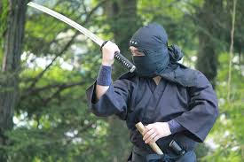 NiNJUTSu_1