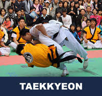 Taekkyeon_3
