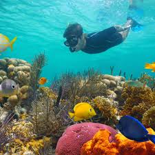  DALGICLIK_DALIS_Diving_5